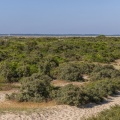 Promeneurs sur le chemin entre les dunes et le cordon de galets près de la route blanche