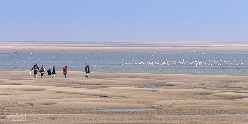 Promeneurs sur les bancs de sable au Hourdel à marée basse