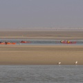 Pirogues et Kayak de mer au Hourdel