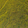 Les mollières de la baie de Somme (vue aérienne)