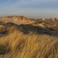 Les dunes le long de la plage de Quend-Plage (Côte Picarde) 
