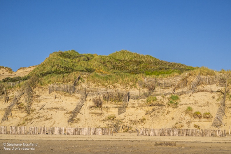 Erosion de la dune rongée par la mer