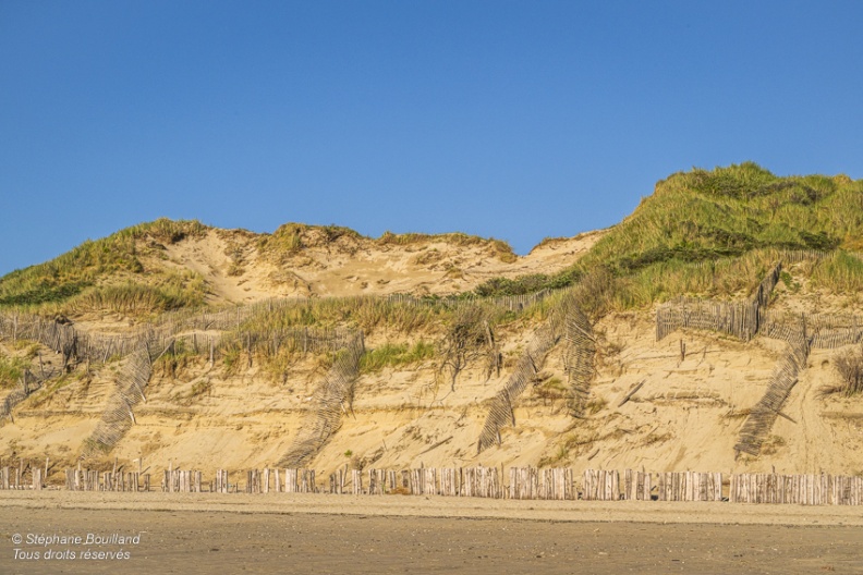 Erosion de la dune rongée par la mer