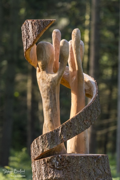 Sculptures à la tronçonneuse en forêt de Crécy