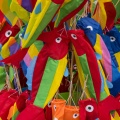 Les préparatifs du Festival des cerfs-volants à Berck-sur-mer