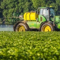 Epandage de pesticides sur les pommes de terre