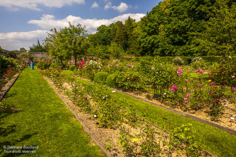 2024-06-25-chateau-rambures 034