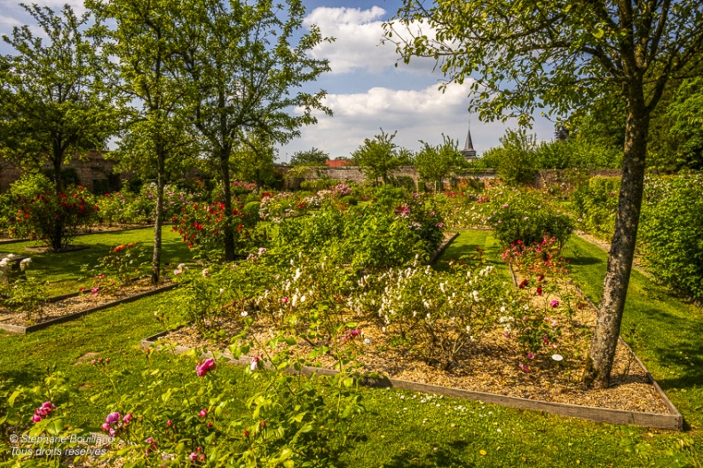 2024-06-25-chateau-rambures 043