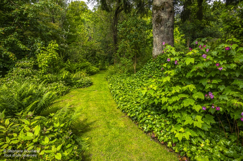 les Jardins de Séricourt