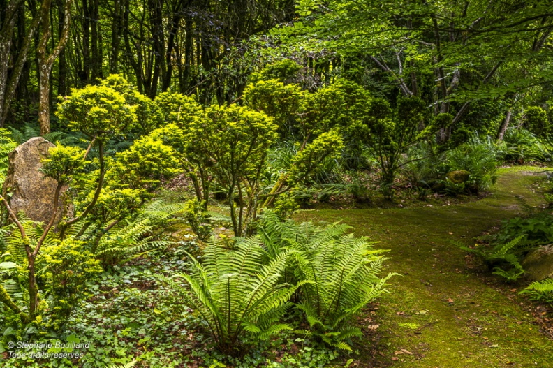 les Jardins de Séricourt