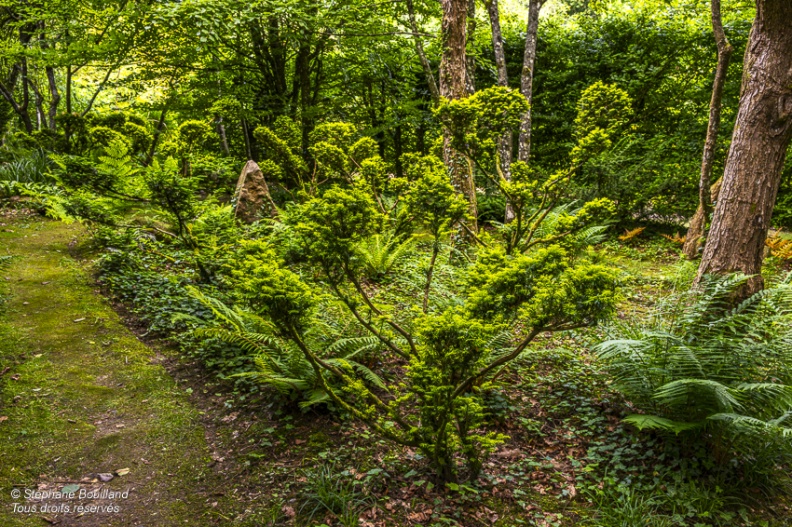 les Jardins de Séricourt