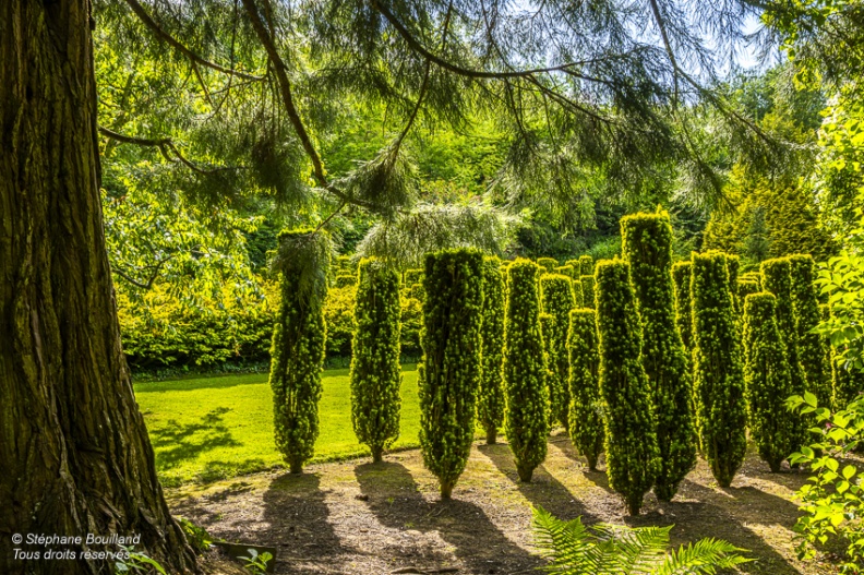 les Jardins de Séricourt