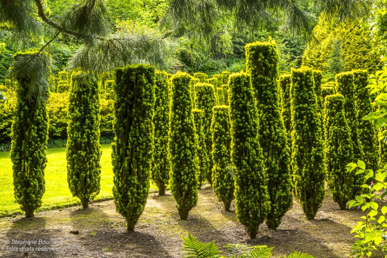 les Jardins de Séricourt