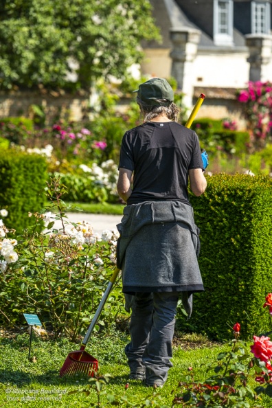 Les jardins de Valloires