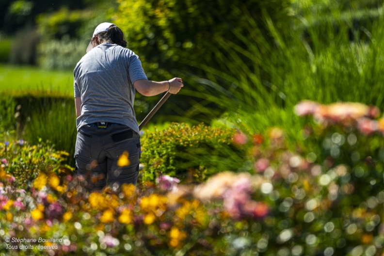 Les jardins de Valloires