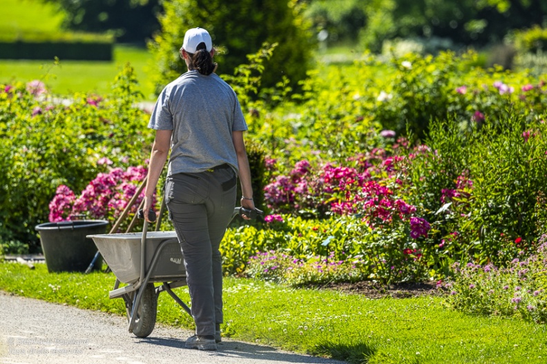 Les jardins de Valloires