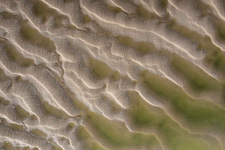 Graphisme des bancs de sable en baie de Somme