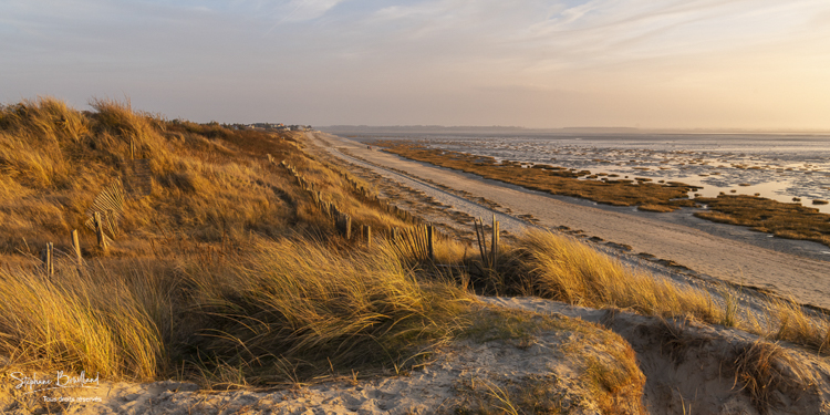 La plage du Crotoy et la baie de Somme vues depuis les dunes.