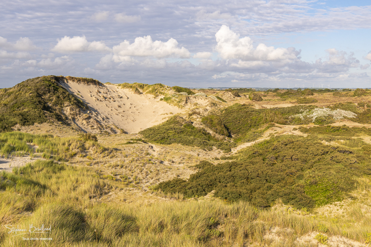Les dunes entre Fort-Mahon et la Baie d'Authie