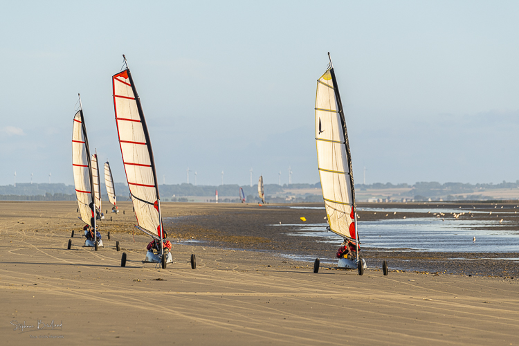 2022_07_03_Quend_plage_chars_a_voile_011.jpg