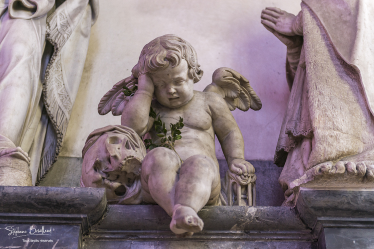 La Cathédrale d'Amiens - L'ange qui pleure