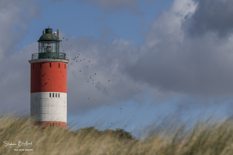 Le phare de Berck-sur-mer. 